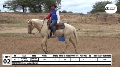 Lote Lote 2