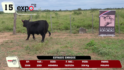 Lote LOTE 15