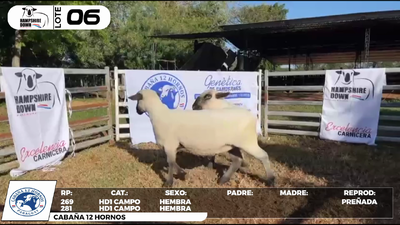 Lote LOTE 6- CAMPO