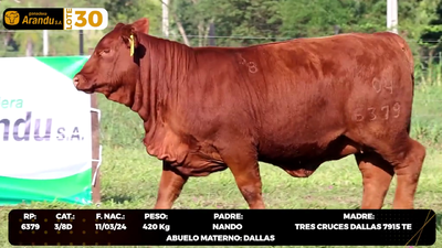 Lote LOTE 30