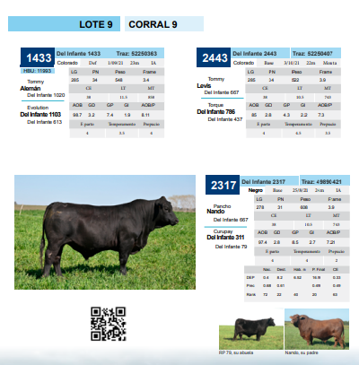 Lote Corral 9