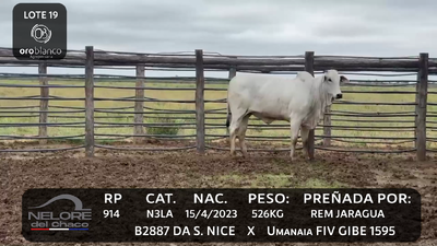 Lote LOTE 19