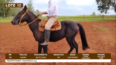 Imagen LOTE 10 - CAMPO