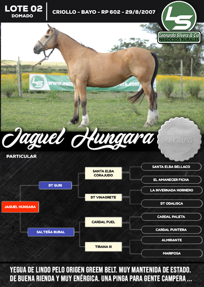 Lote JAGUEL HUNGARA