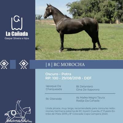Lote RC Morocha (RP 100) Cabaña "La Cañada"