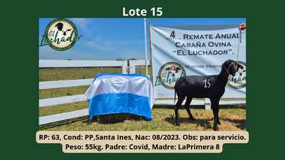 Lote PP