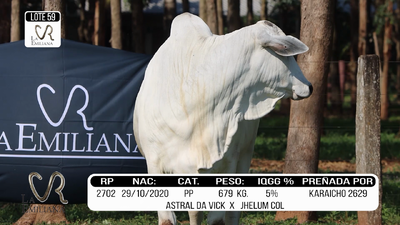 Lote LOTE 59