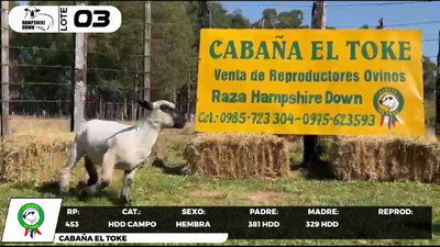 Lote LOTE 3- CAMPO