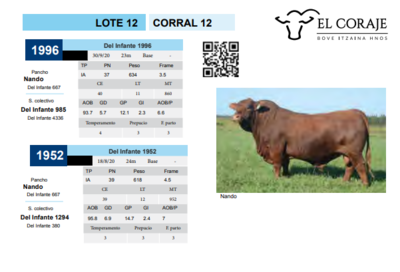 Lote CORRAL 12