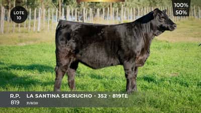 Lote LA SANTINA SERRUCHO-352-819TE
