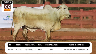Lote LOTE 9