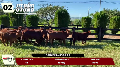 Imagen LOTE 2