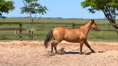 Lote Cañada Odalisca 1