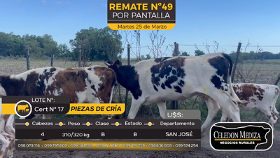 Lote 4 Piezas de cría en Otra Localidad, San José