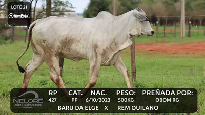 Lote LOTE 21