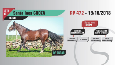 Lote Santa Ines GROZA