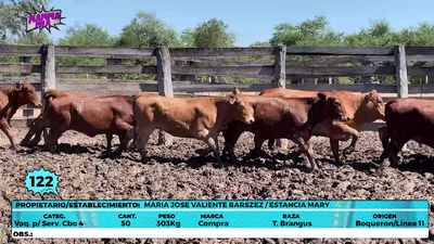Lote LOTE 122