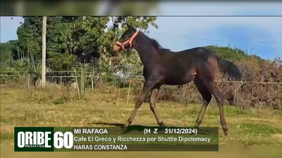 Lote Lote 60