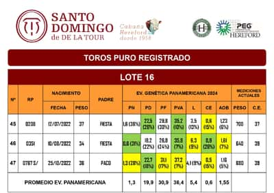 Lote TOROS PR (LOTES) - ( Incluye S/ )