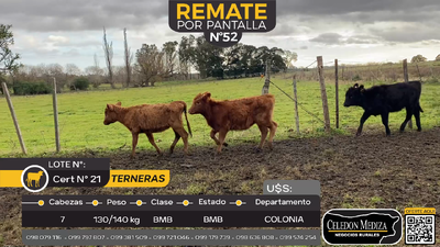 Lote 7 Terneras en La Horqueta, Colonia