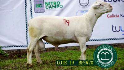 Lote RP 270