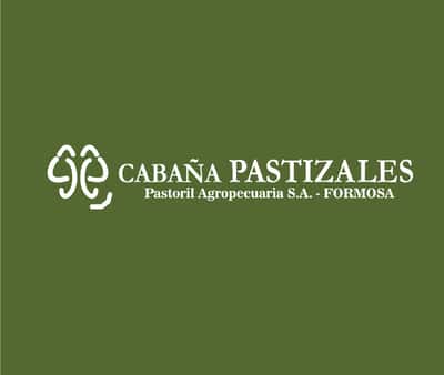 Lote OVERO MANCHADO CORRAL 48
