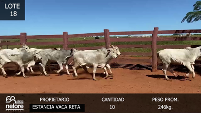 Lote LOTE 18
