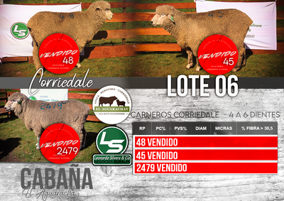 Lote LOTE 6
