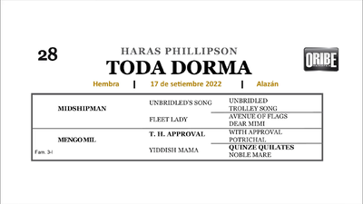 Lote TODA DORMA