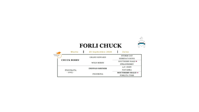 Lote FORLI CHUCK (CHUCK BERRY -  FIGURATA)