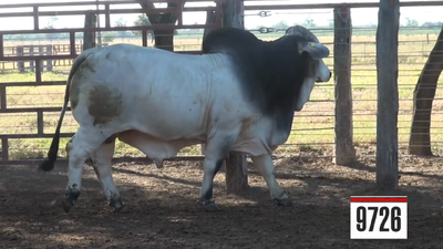 Lote Brahman