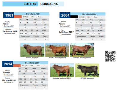 Lote CORRAL 15