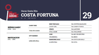 Lote COSTA FORTUNA