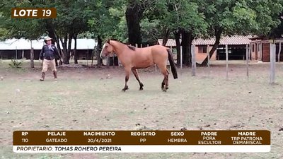 Lote LOTE 19- CAMPO