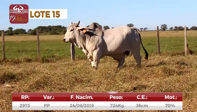 Lote Reproductores de Alborada - Lote 15