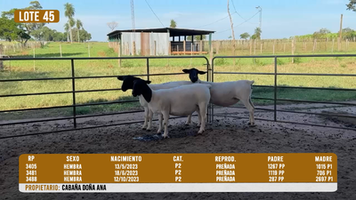 Lote LOTE 45 - DESTACADO