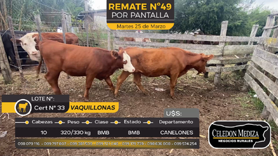 Lote 10 Vaquillonas  en Otra Localidad, Canelones