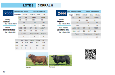 Lote Corral 8