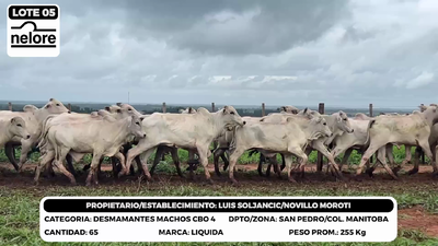 Lote LOTE 5