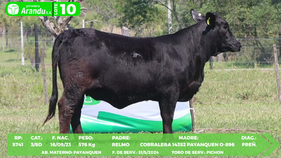 Lote LOTE 10