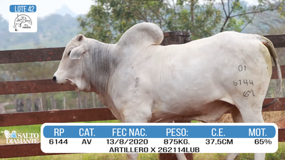 Lote LOTE 42