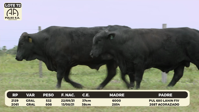 Lote LOTE 72