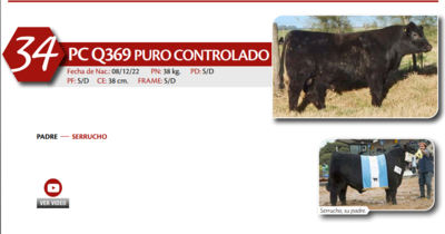 Lote MACHO PC