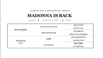Lote MADONNA IS BACK (PUT IT BACK - MALINCHE)
