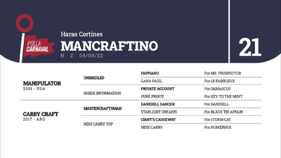 Lote MANCRAFTINO