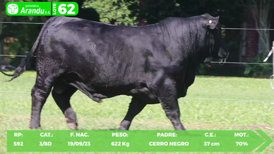 Lote LOTE 62