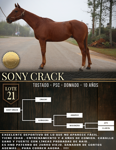  SONY CRACK