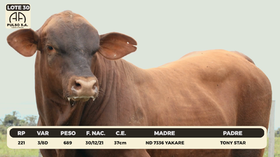 Lote LOTE 30