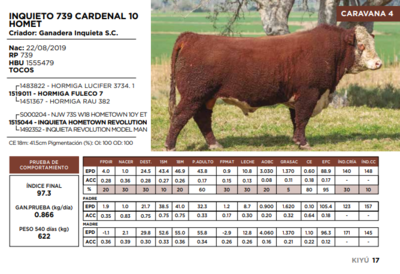 Lote INQUIETO 739 CARDENAL 10 HOMET  (GRUPO 1)