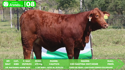Lote LOTE 8
